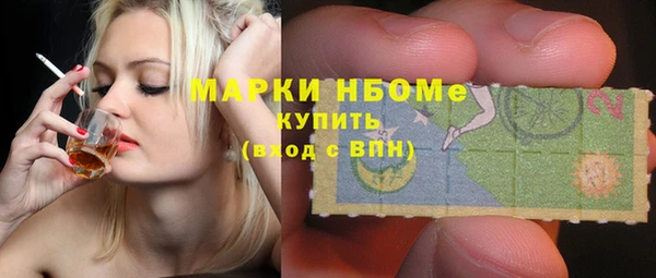 ГАЛЛЮЦИНОГЕННЫЕ ГРИБЫ Каменка