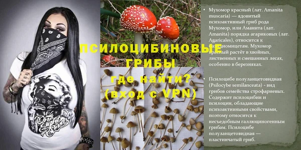 ГАЛЛЮЦИНОГЕННЫЕ ГРИБЫ Каменка