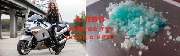 ГАЛЛЮЦИНОГЕННЫЕ ГРИБЫ Каменка