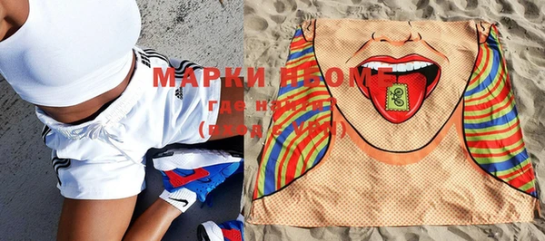 ГАЛЛЮЦИНОГЕННЫЕ ГРИБЫ Каменка