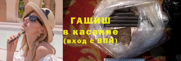 стафф Касимов