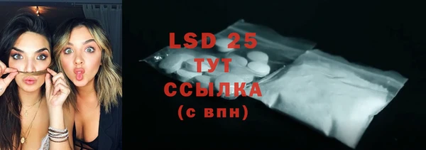 ГАЛЛЮЦИНОГЕННЫЕ ГРИБЫ Каменка
