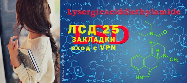 ГАЛЛЮЦИНОГЕННЫЕ ГРИБЫ Каменка