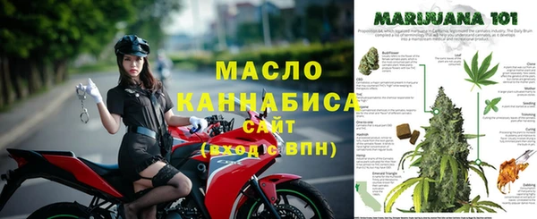 ГАЛЛЮЦИНОГЕННЫЕ ГРИБЫ Каменка