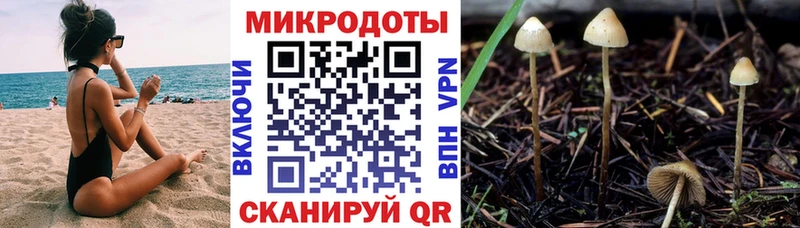 Галлюциногенные грибы прущие грибы  Купить  Далматово 